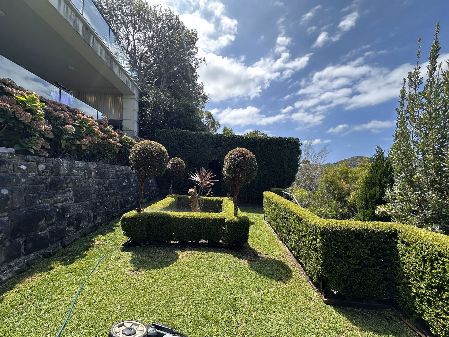 A garden