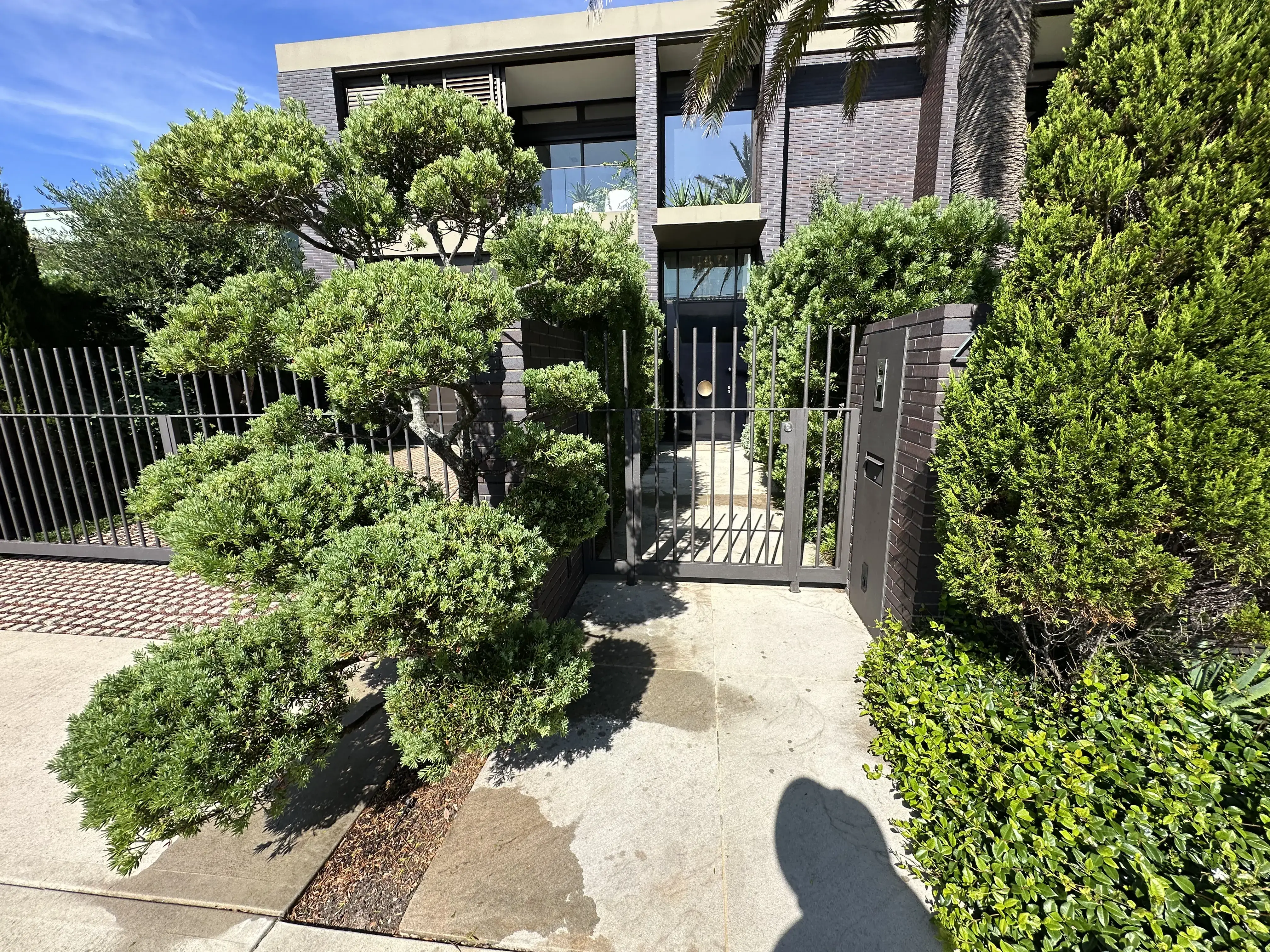 Portfolio image 17