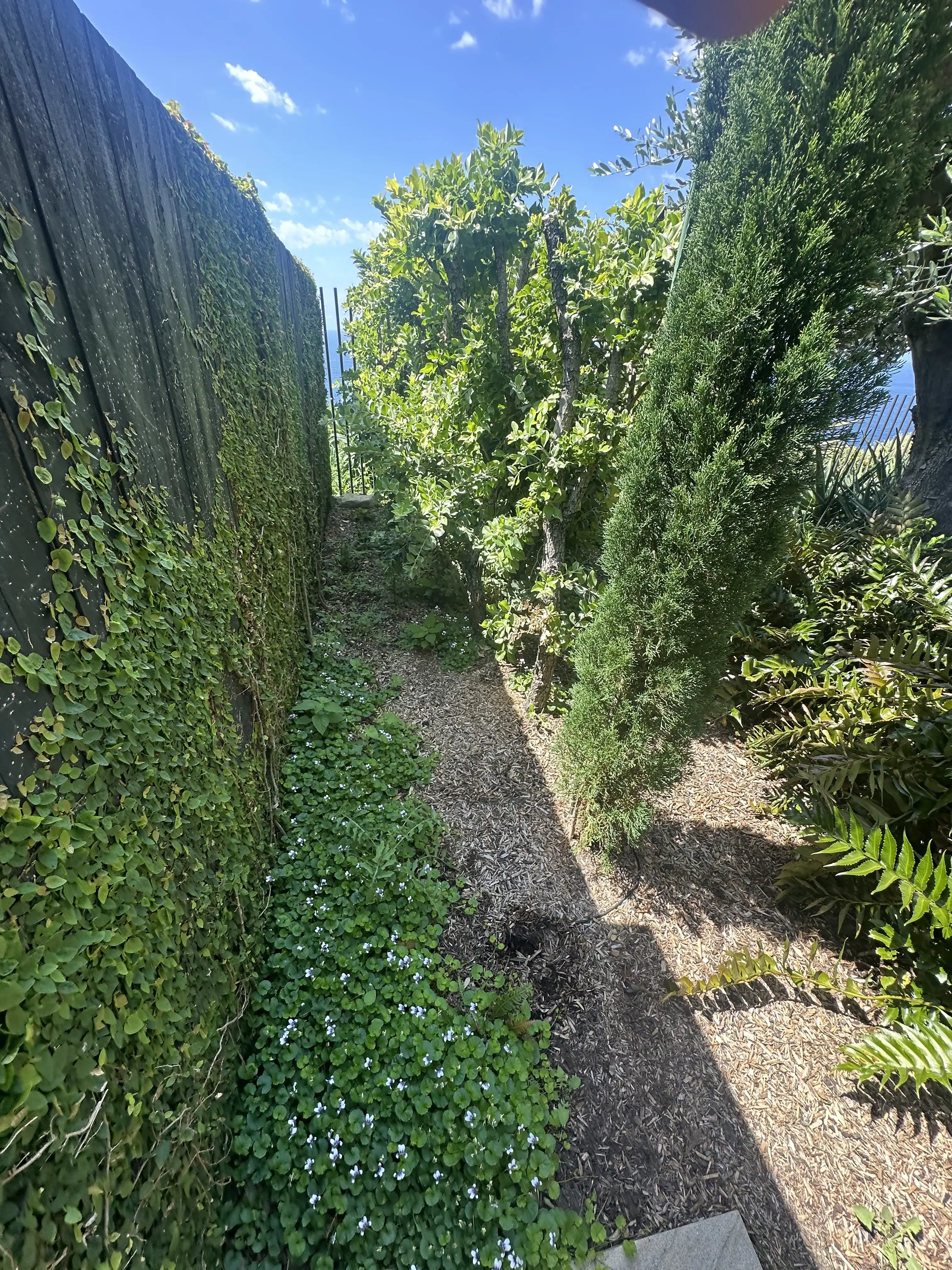 Portfolio image 14