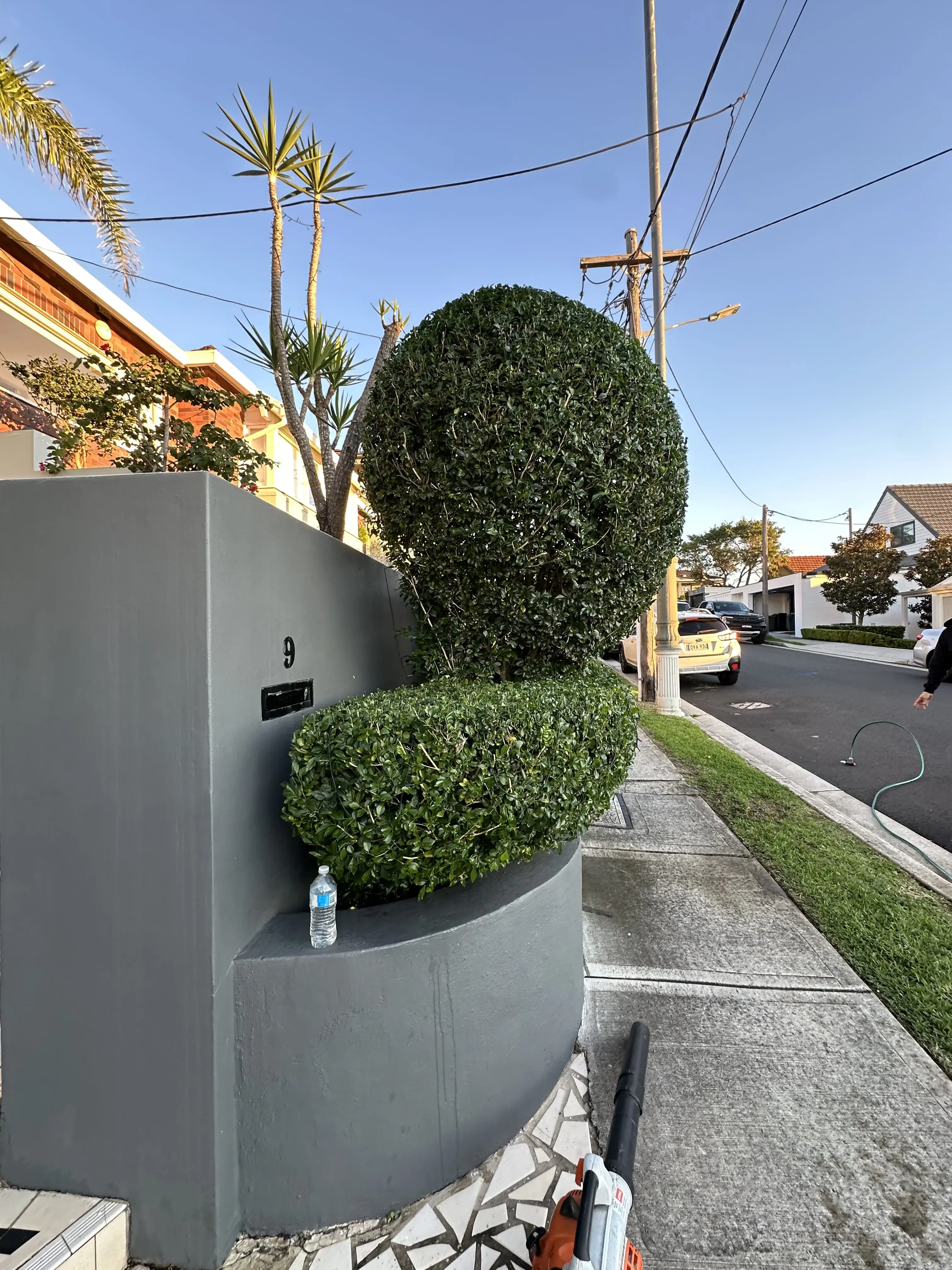Portfolio image 22