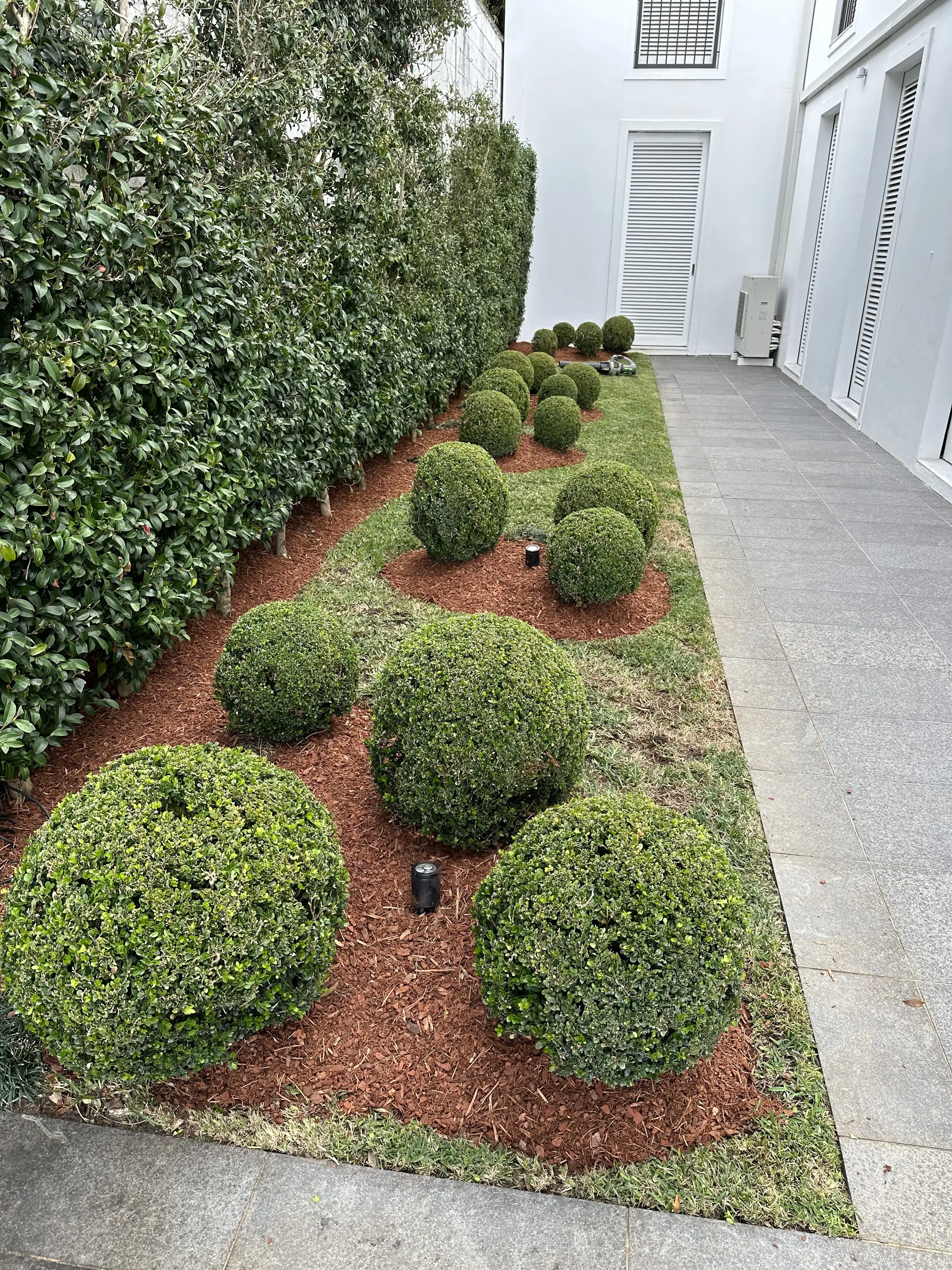 Portfolio image 27