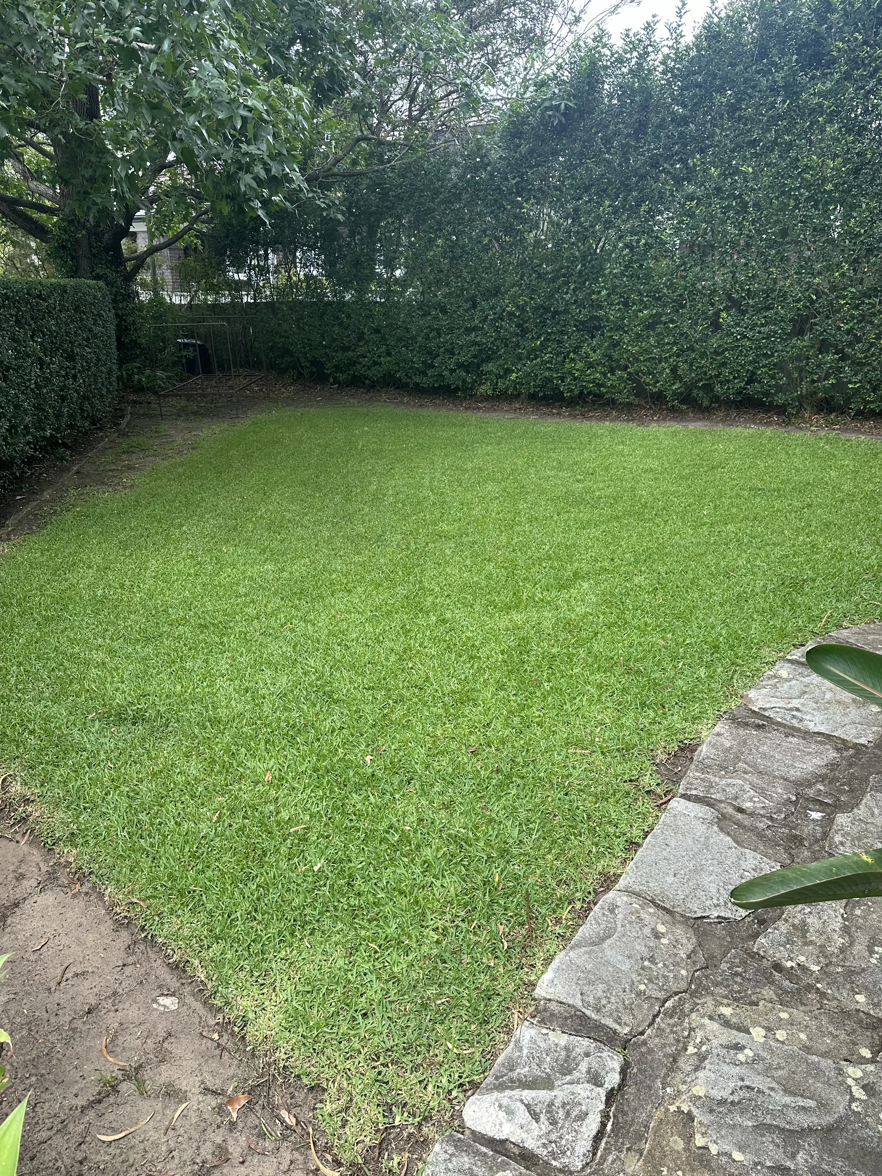 Portfolio image 29