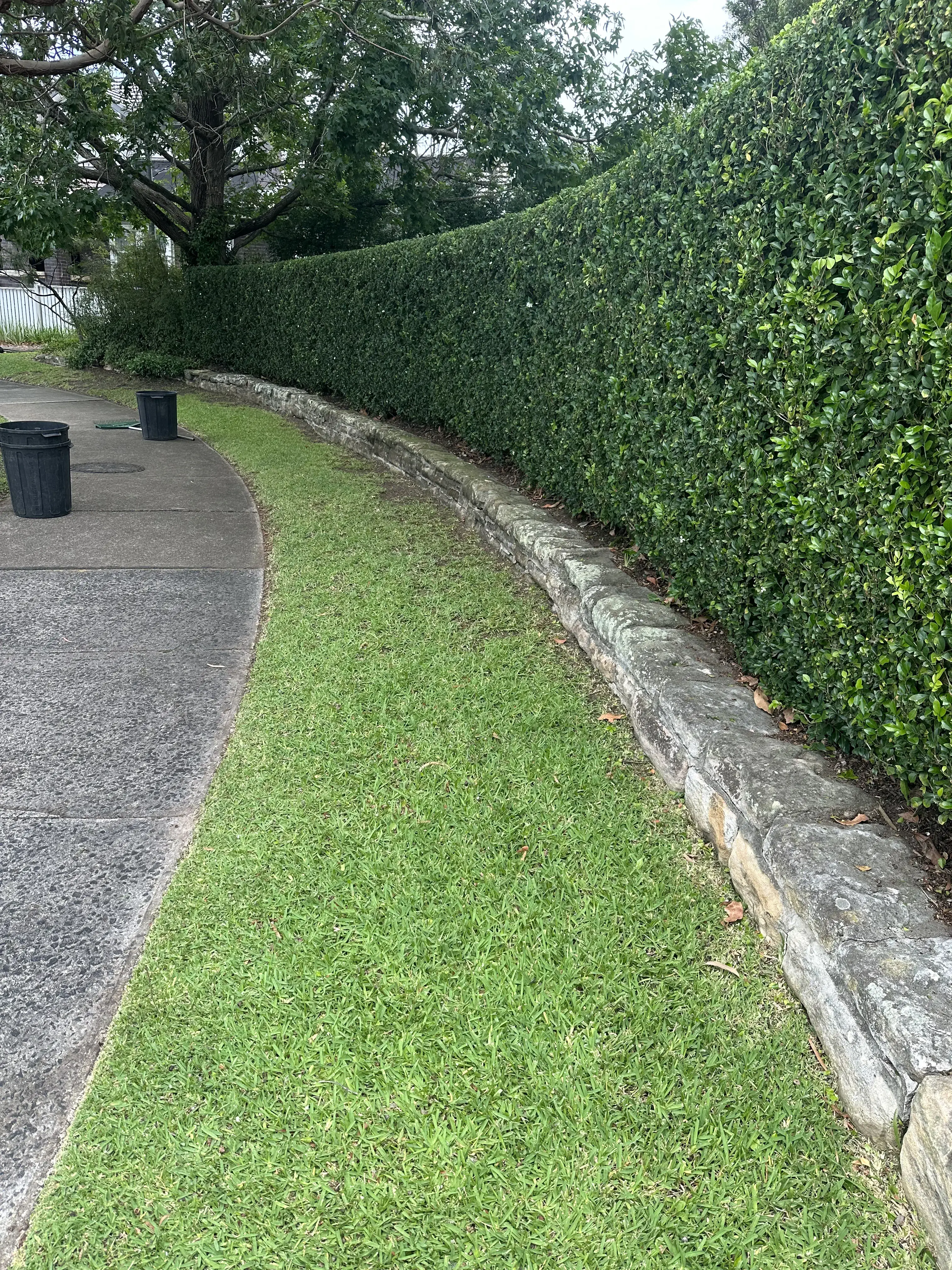 Portfolio image 30