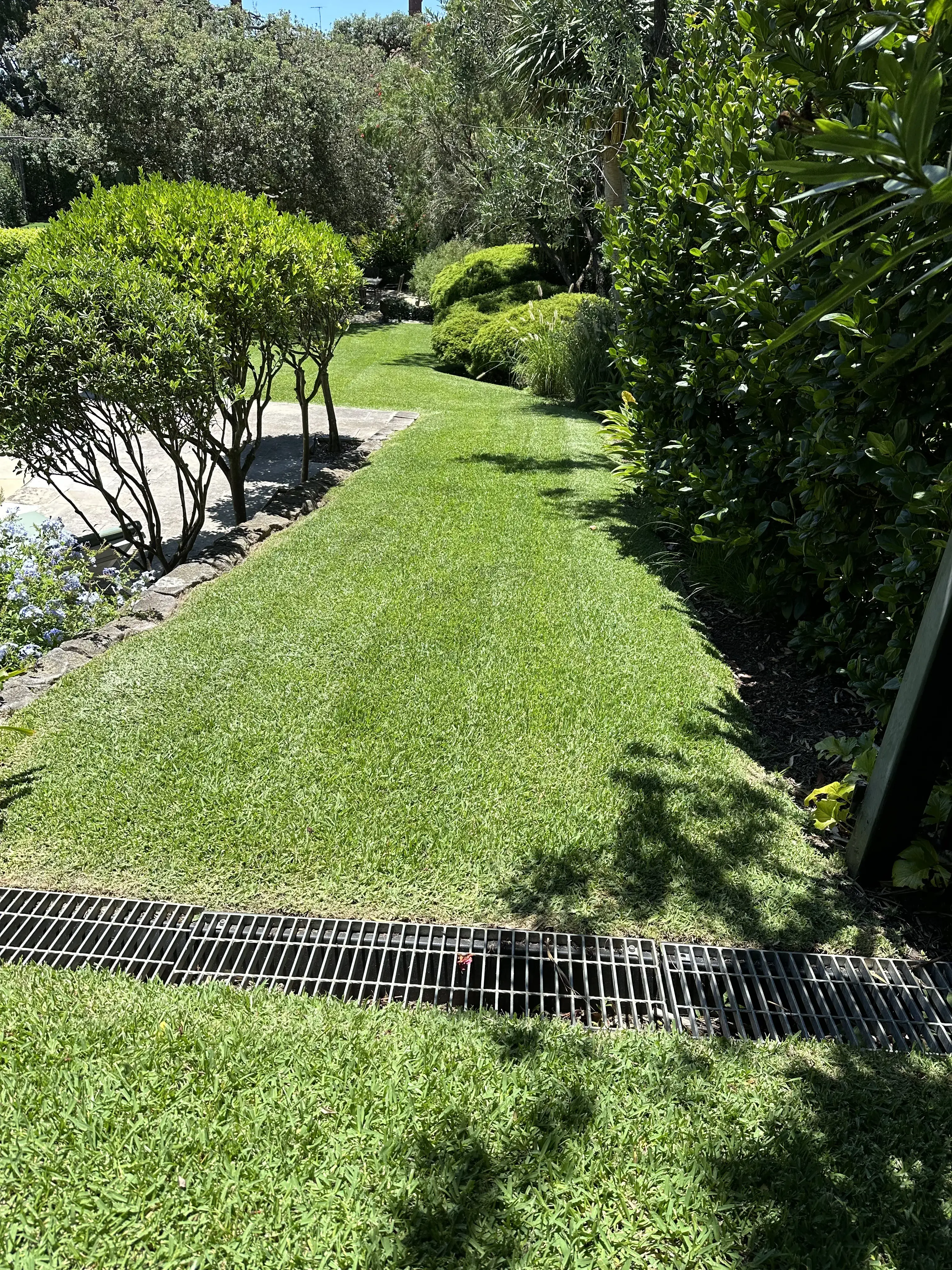 Portfolio image 33