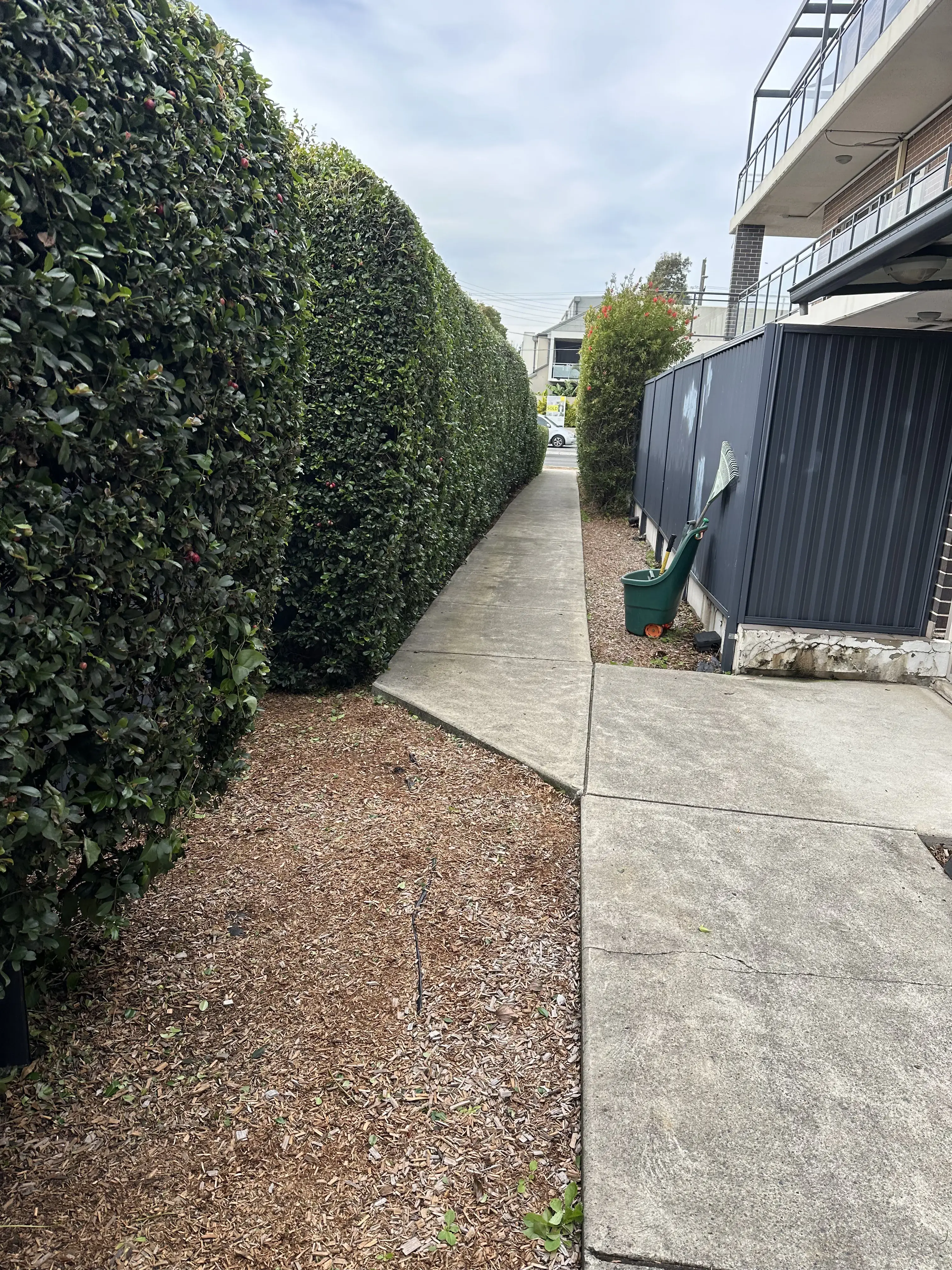 Portfolio image 37