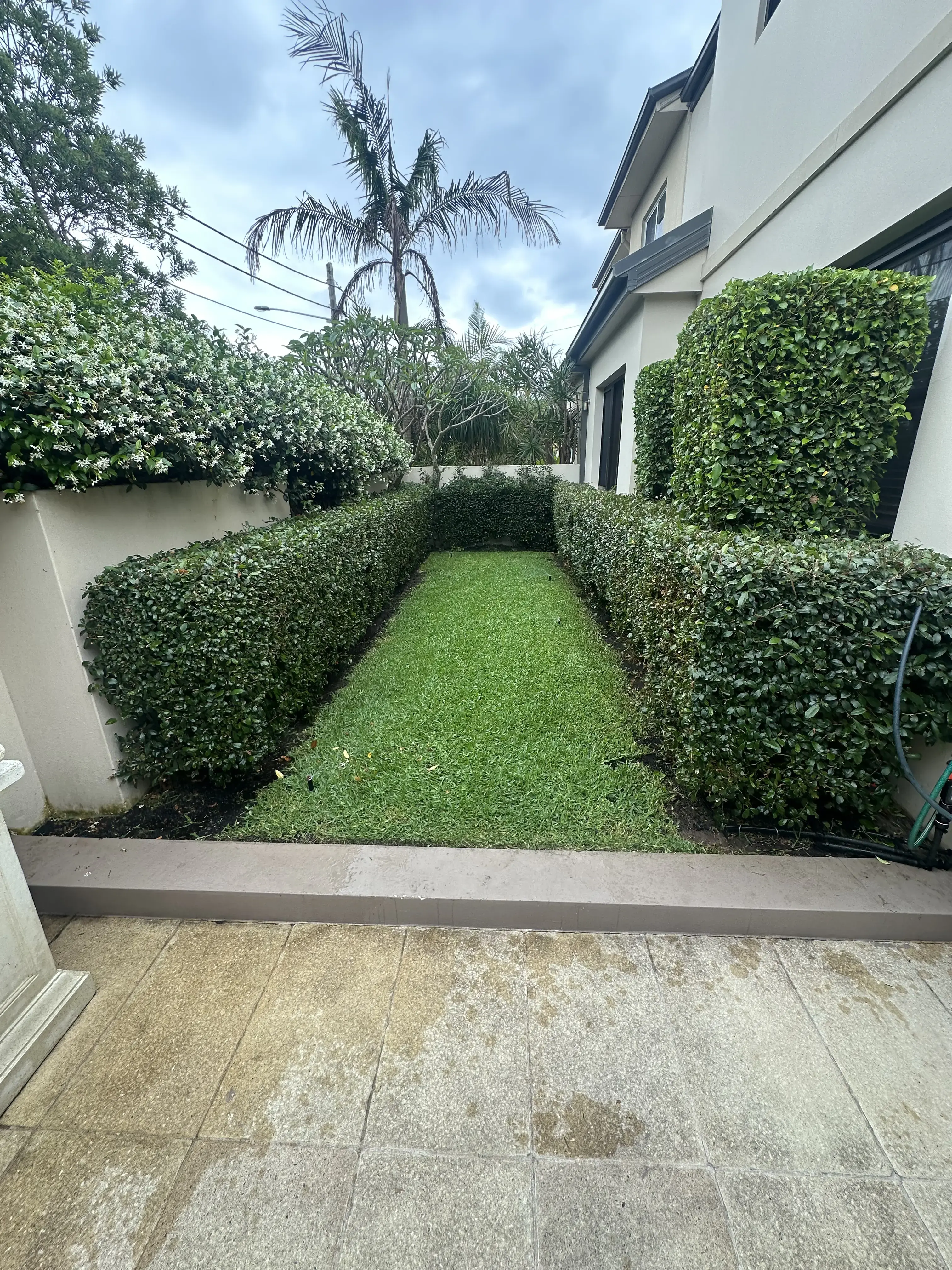Portfolio image 41
